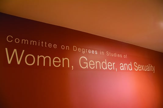 Unraveling Pywel: Crimson Desert PC's Solo Adventure and Story